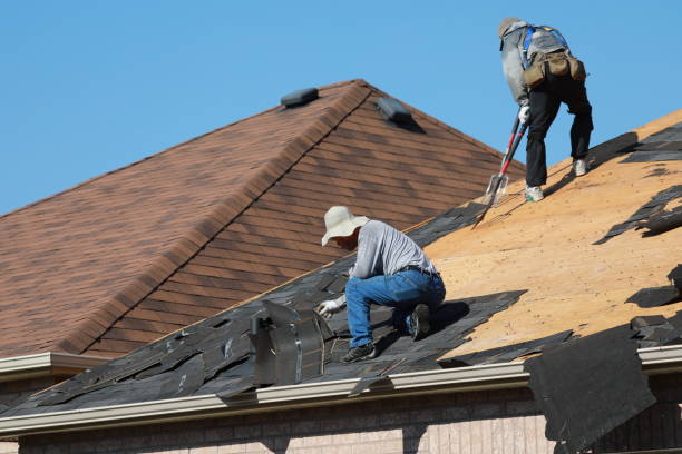  Abbeville, AL Roofing repair and installation Pros