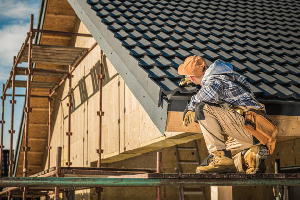 Best Gutter Installation and Repair  in Abbeville, AL